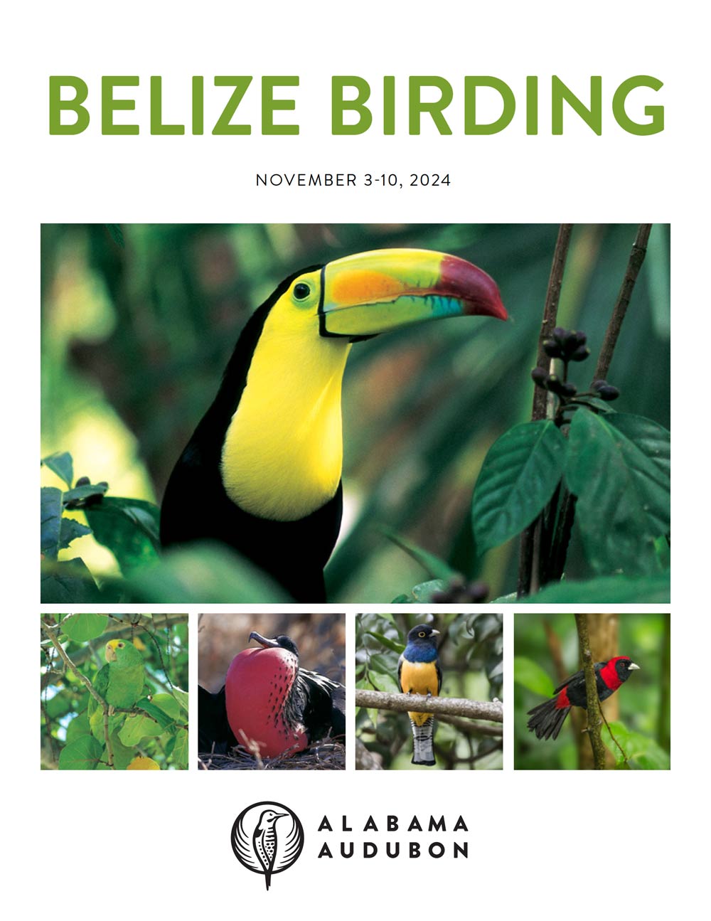 AL Audubon Belize Birding 2024 - Conservancy Travel